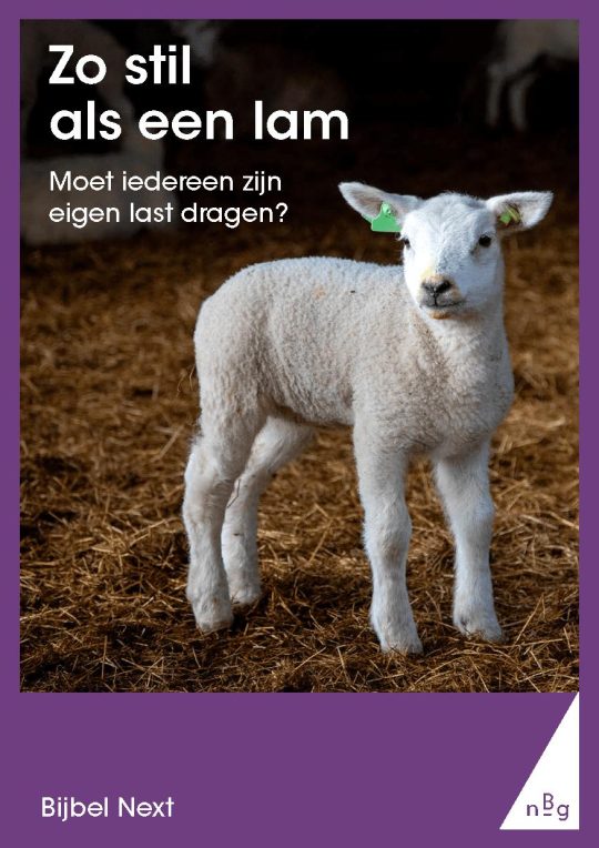 Zo stil als een lam