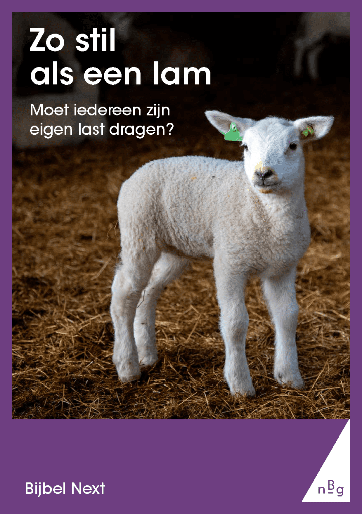 Zo stil als een lam
